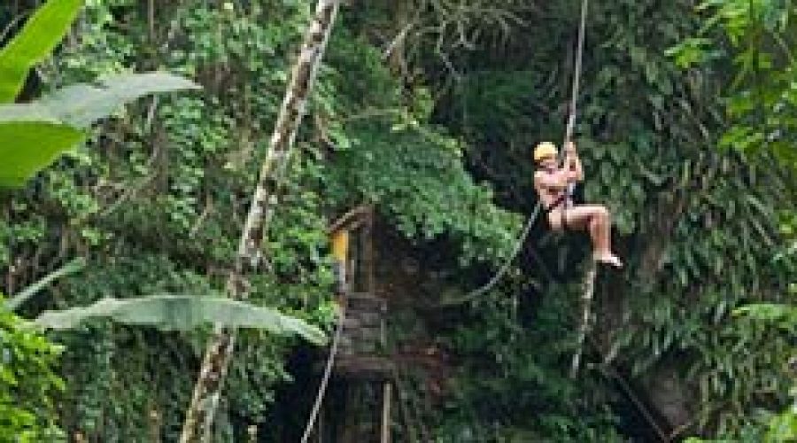 Não fique a tôa na Ilha