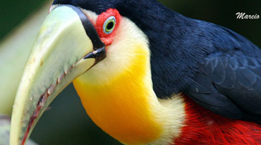 Parque Estadual traz atrações aos Turistas