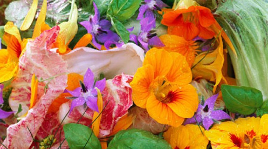 Flores: É prá ver ou pra comer?