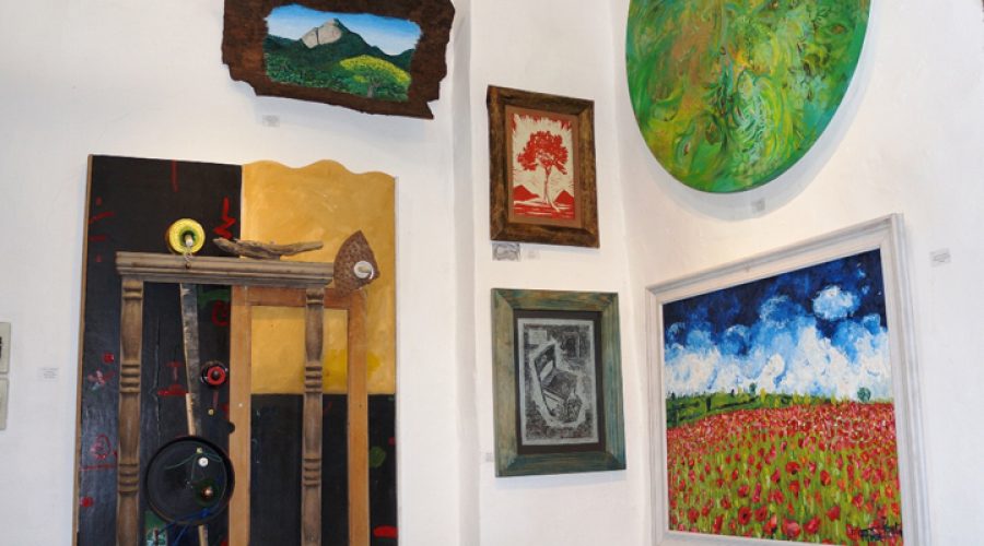 Mostra Waldemar Belisário vai até domingo