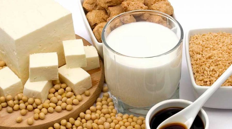 A importância da soja e o melhor tofu de Ilhabela