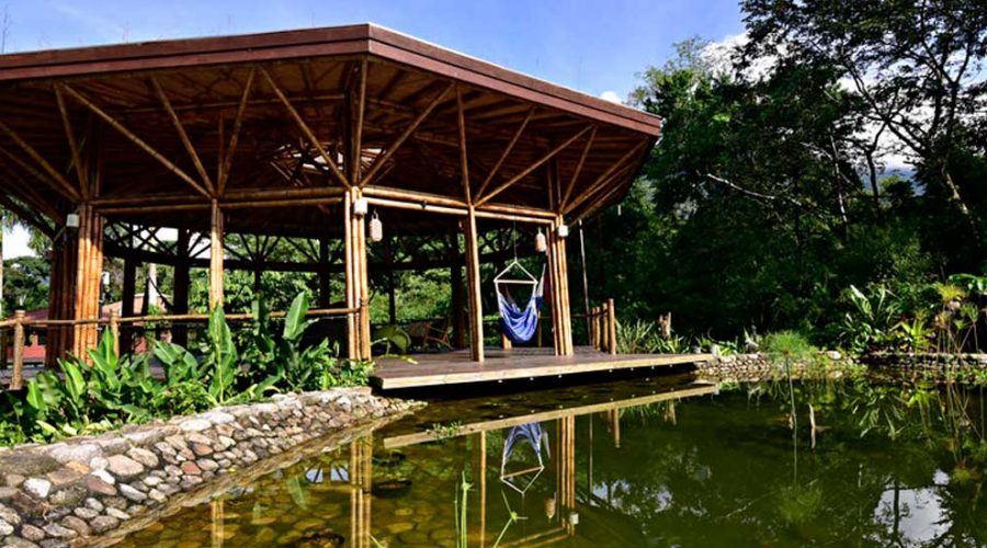 Banana Bamboo Ecolodge – O paraíso ecológico do litoral