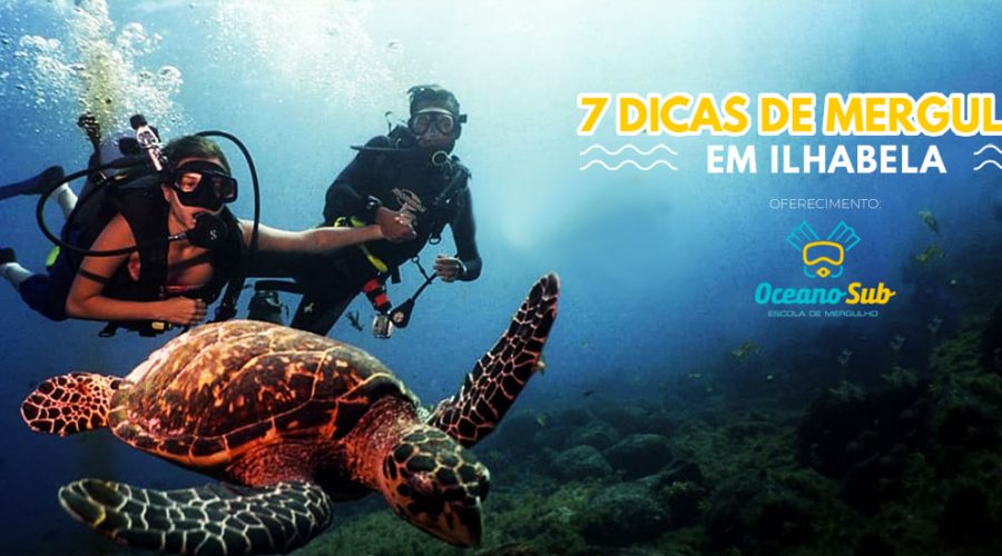 7 dicas sobre mergulho em Ilhabela
