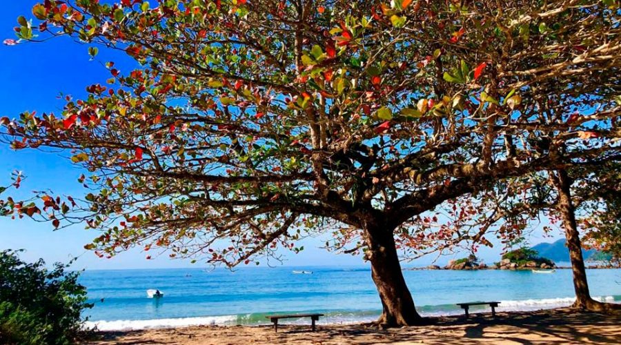 Ilhabela no Inverno: O Destino Perfeito para uma Viagem Aconchegante